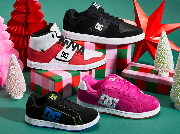 DC SKATER SHOES