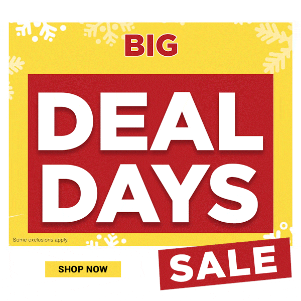 Big Deal Days Sale