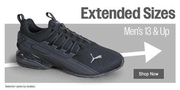 Extended Sizes
