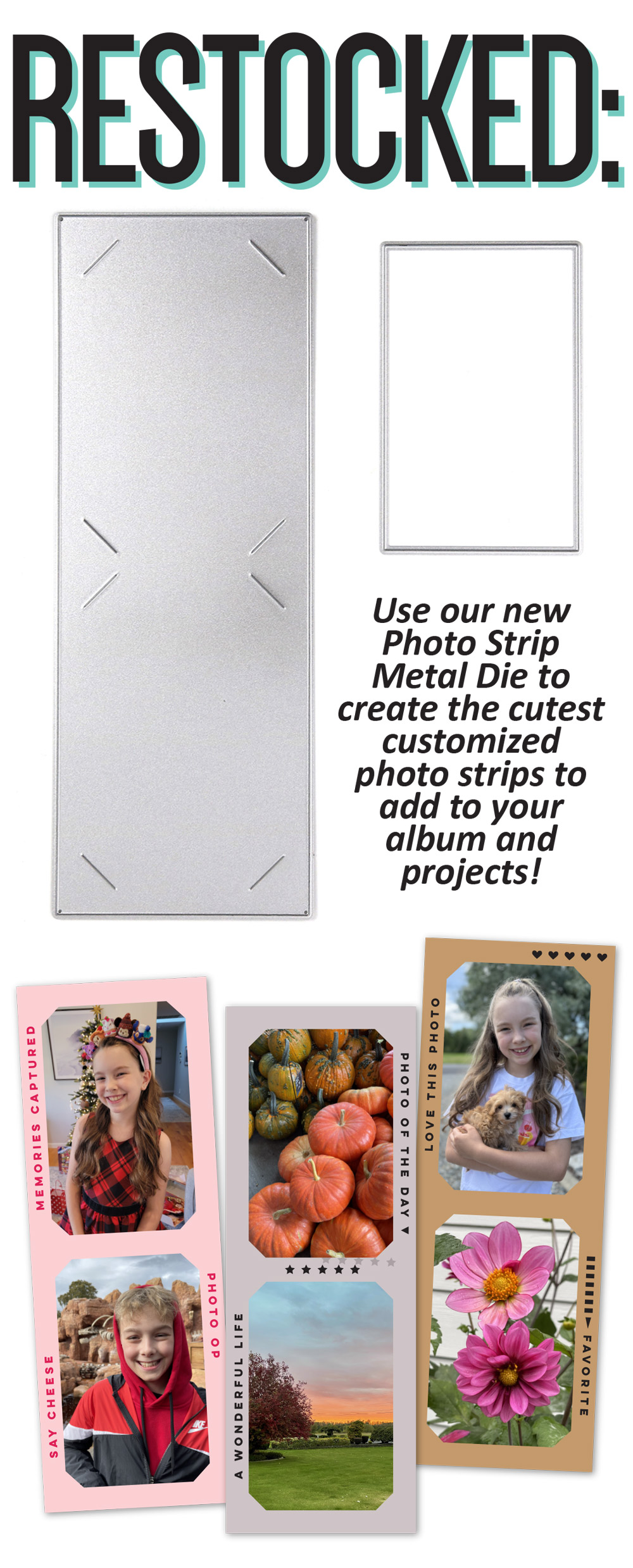 Restocked: Photo Strip Metal Die
