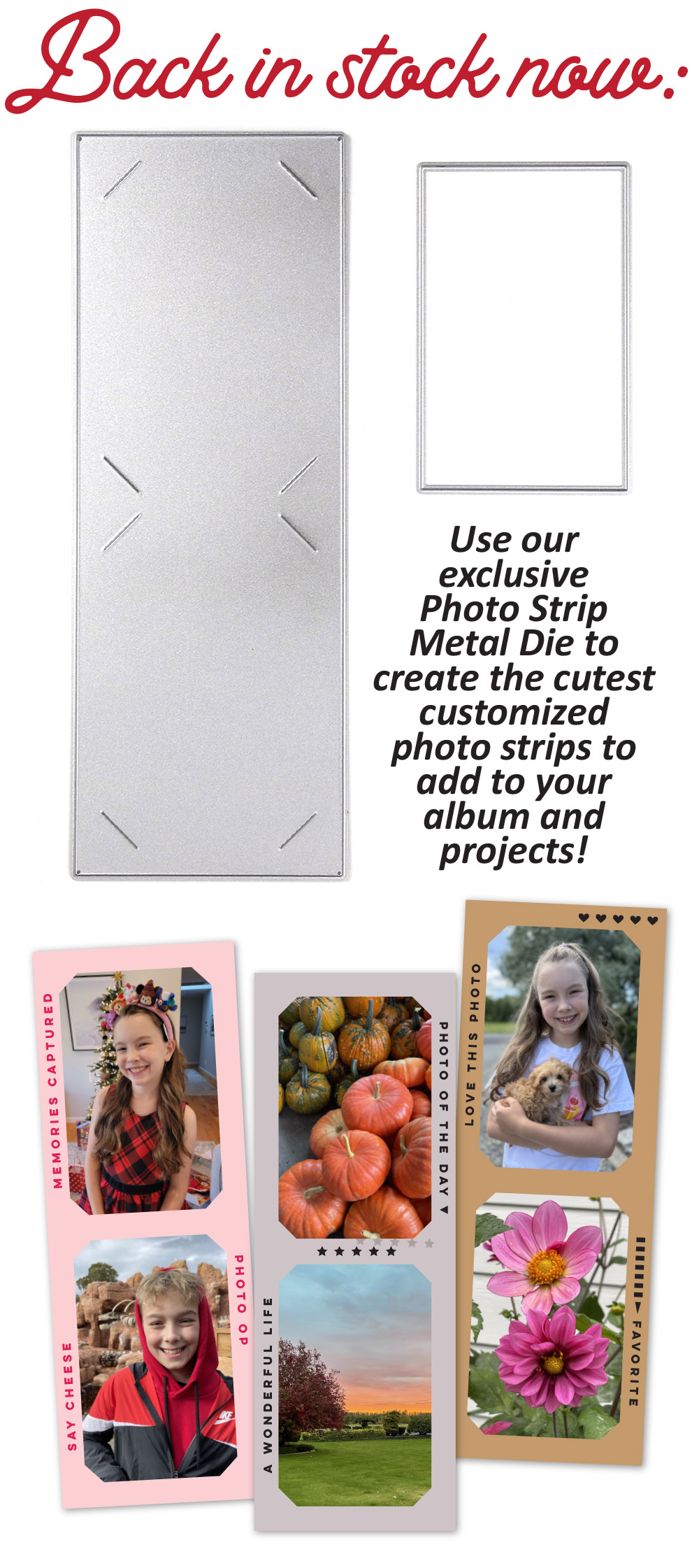 Restocked: Photo Strip Metal Die