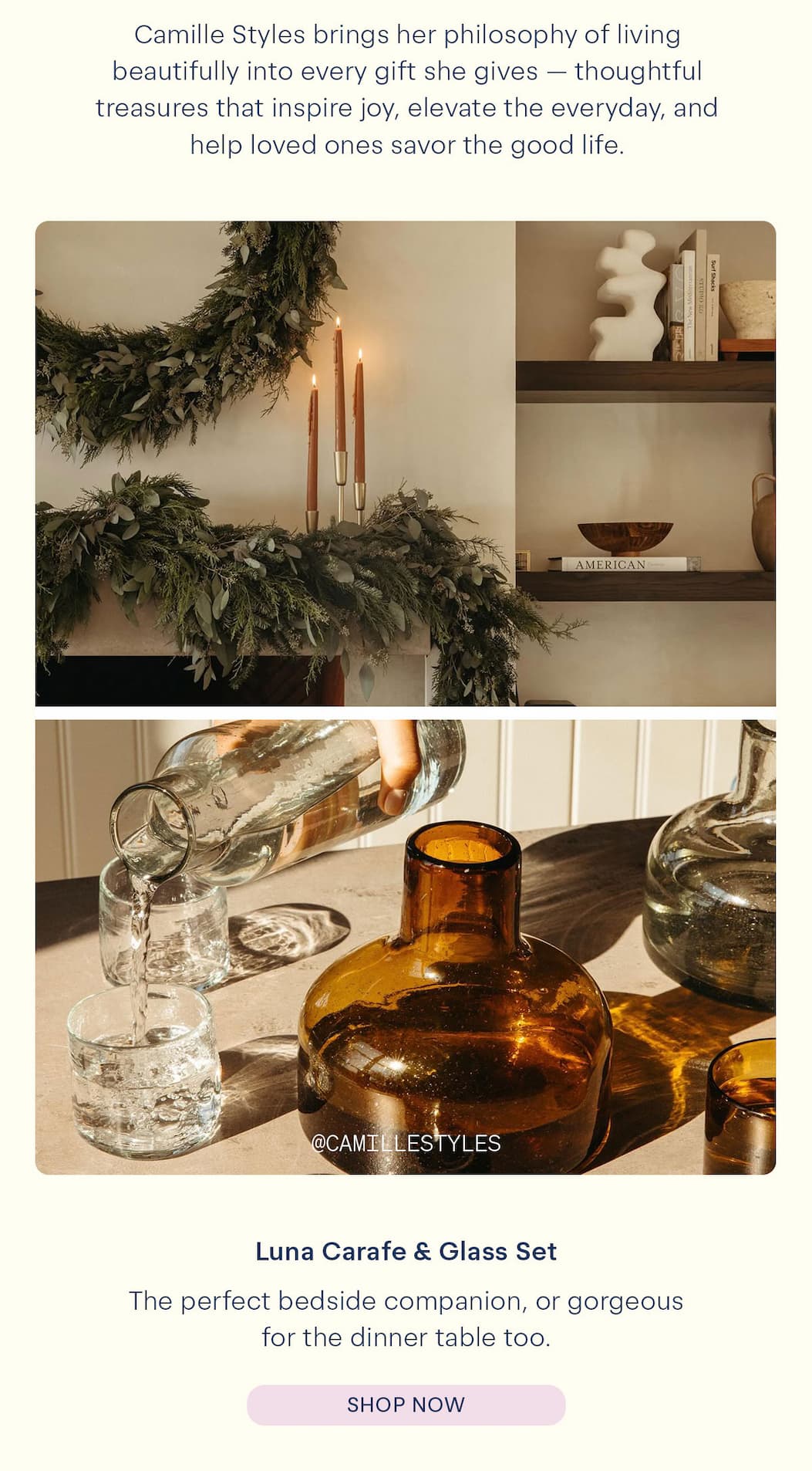 shop Luna Carafe & Glass Set 