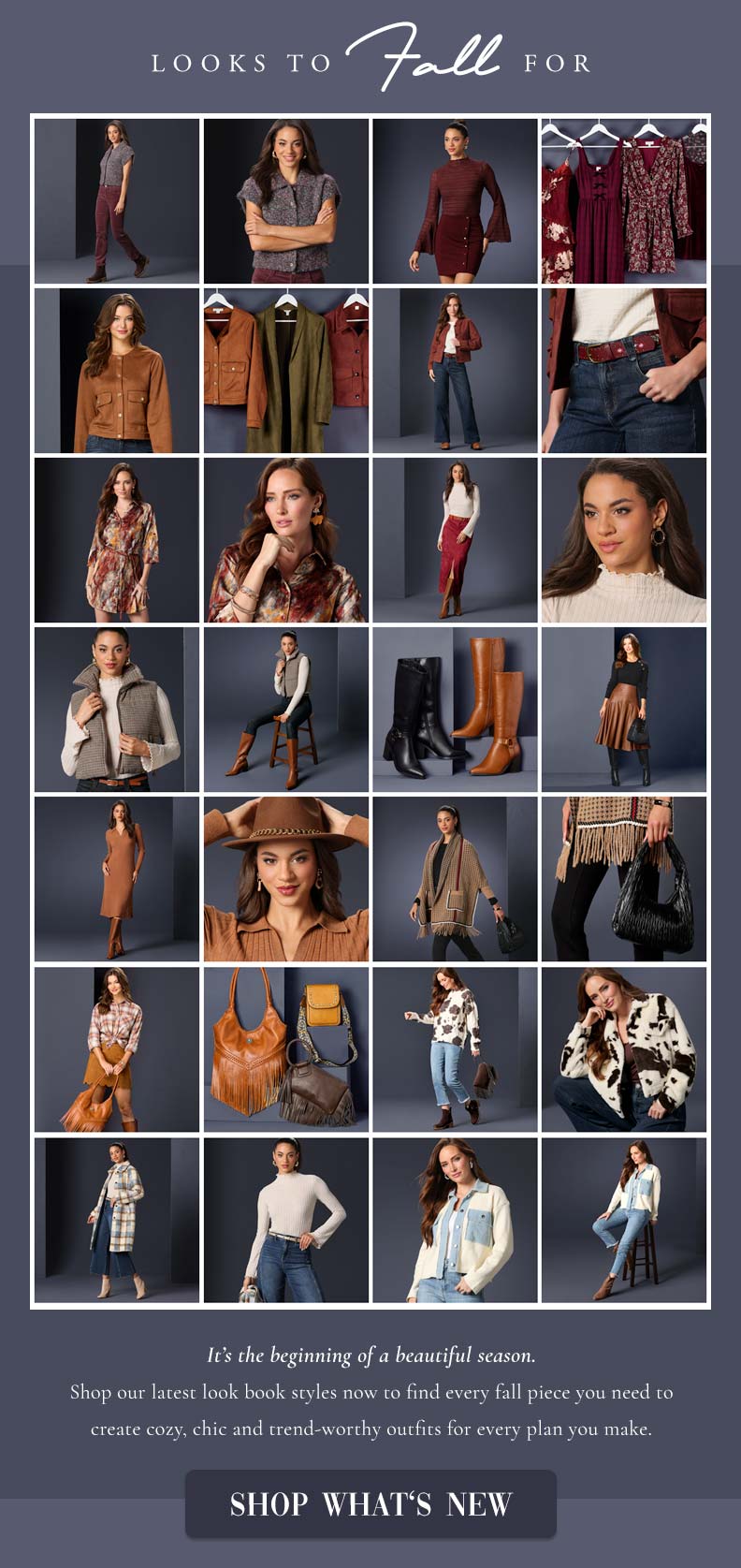  "Shop