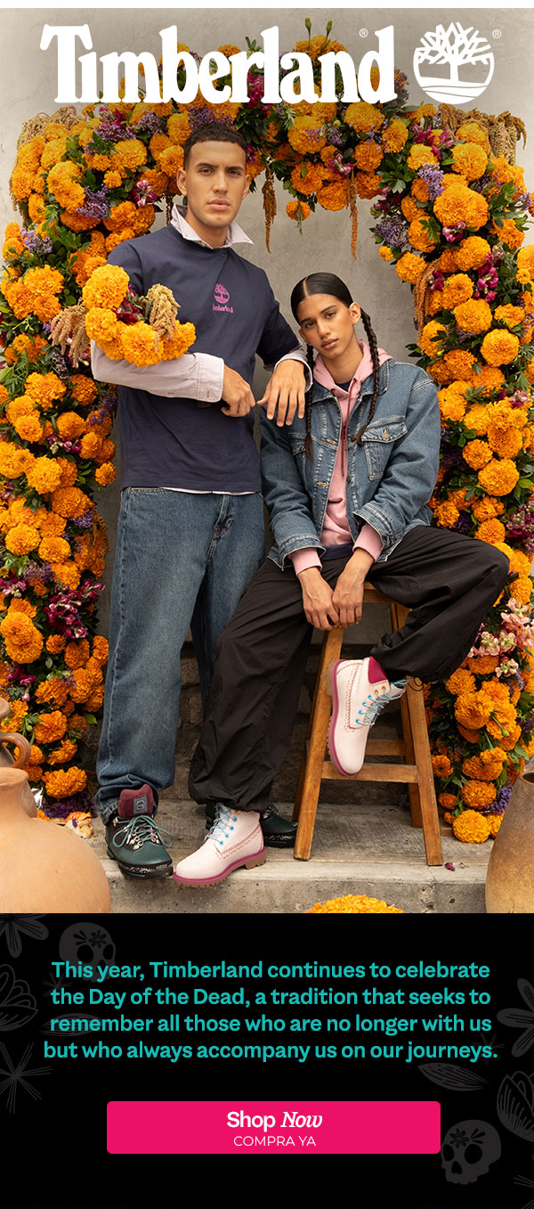 TIMBS