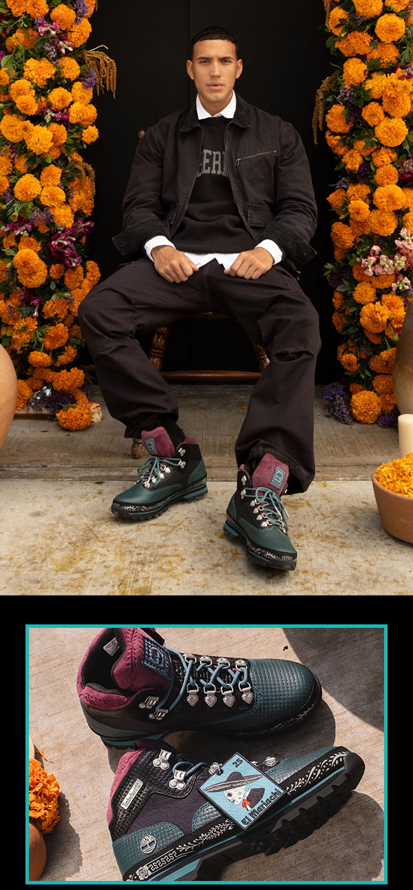 TIMBS