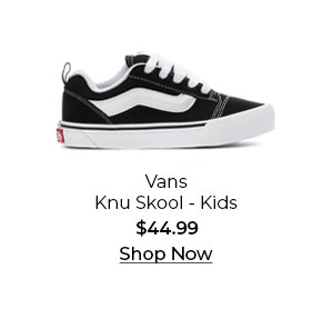 Vans Knu Skool