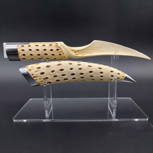 Fremen Crysknife with Sheath Prop Replica by Paragon FX Group