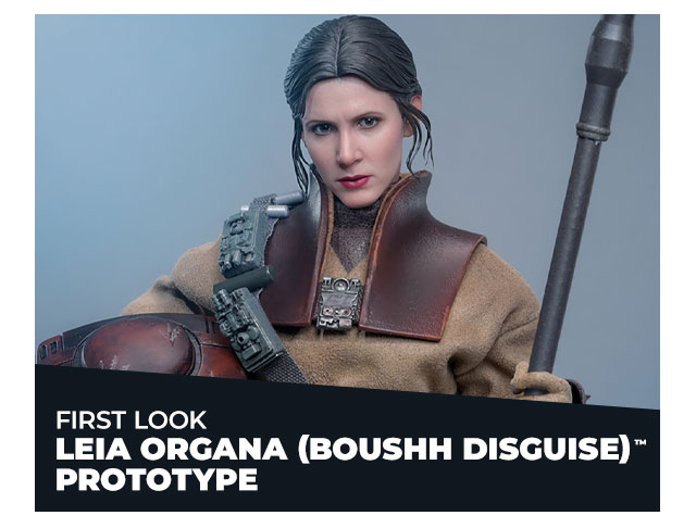 First Look: Leia Organa (Boushh Disguise)™ Prototype