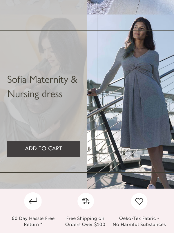 Sofia maternity & nursing dress