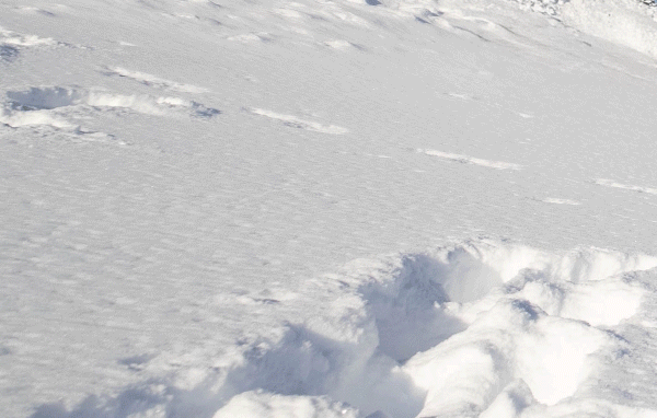 Ski-Doo snowmobile sleds in the snow