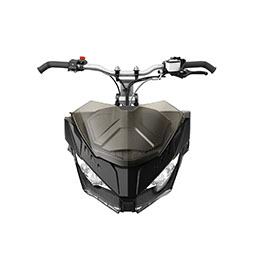 Ultra Low Windshield 