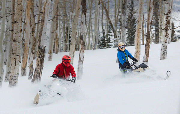 Two Ski-Doo riders in the backcountry