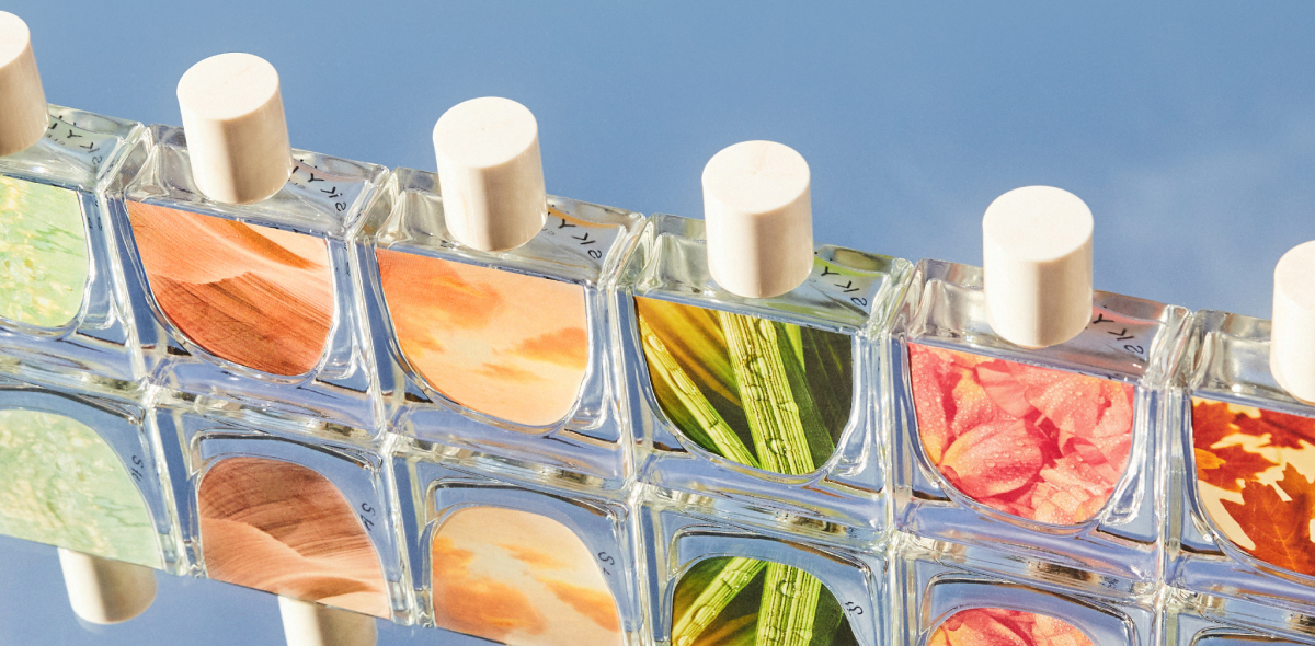 Find Your Anchor Scent