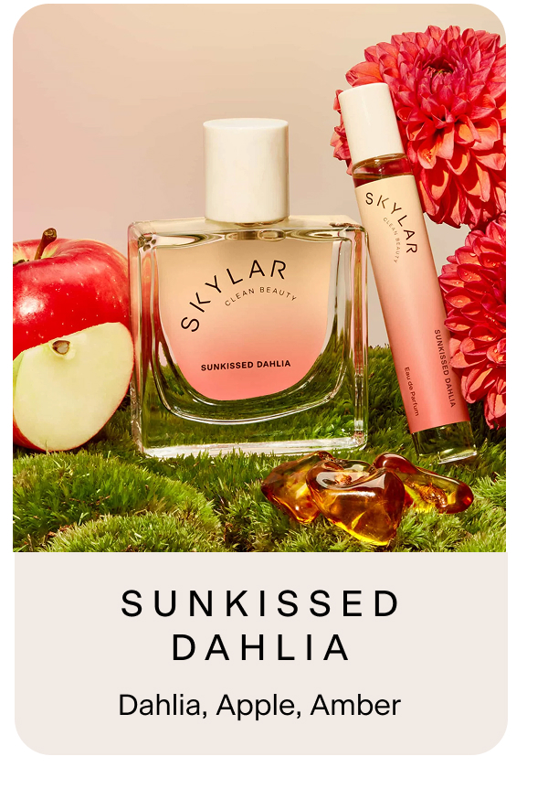 Sunkissed Dahlia. Dahlia, Apple, Amber