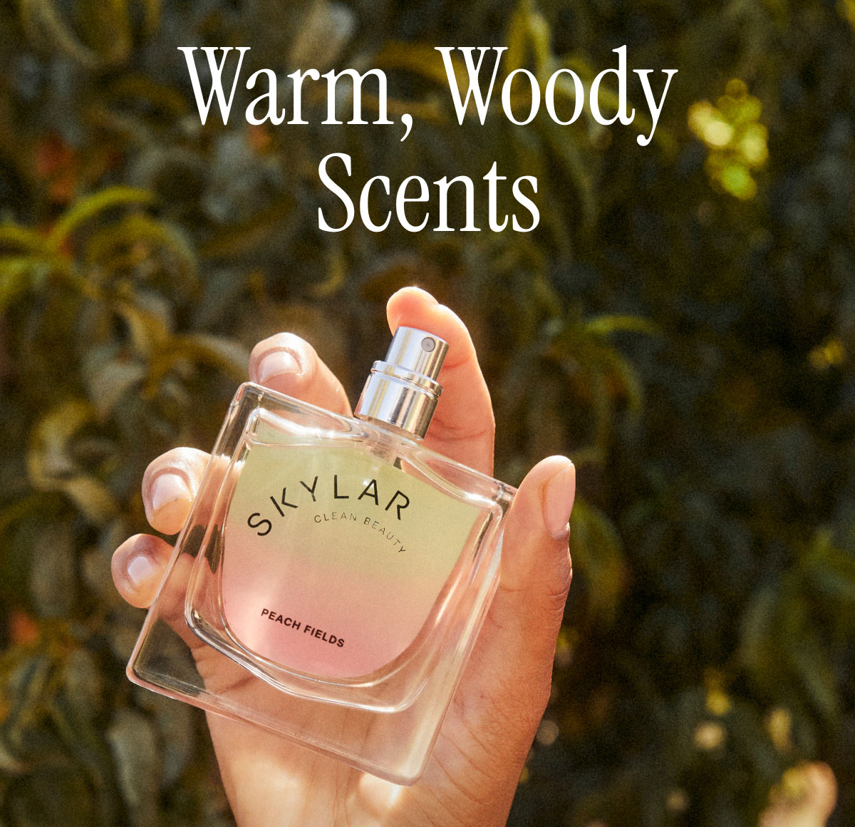 Warm, Woody Scents