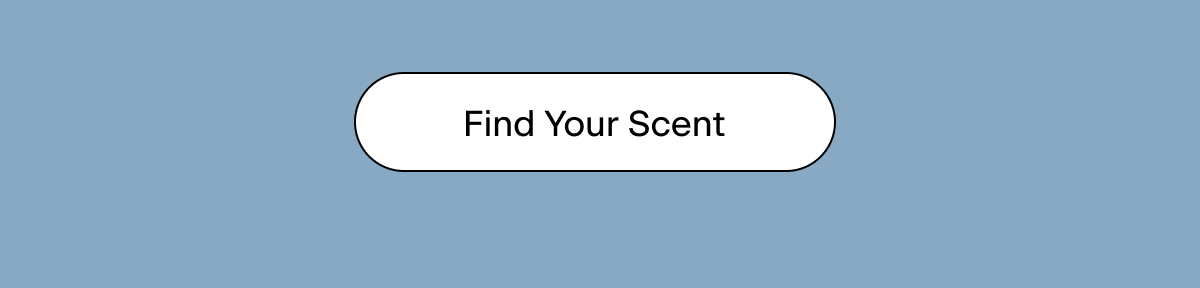 Find Your Scent