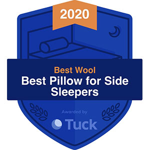 Best Pillow for Side Sleepers Award badge