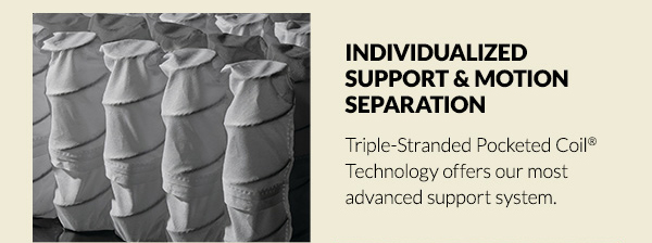 Individualized Support & Motion Separation