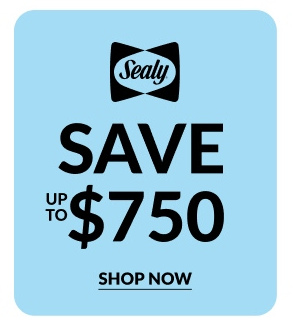 Sealy | Shop Now