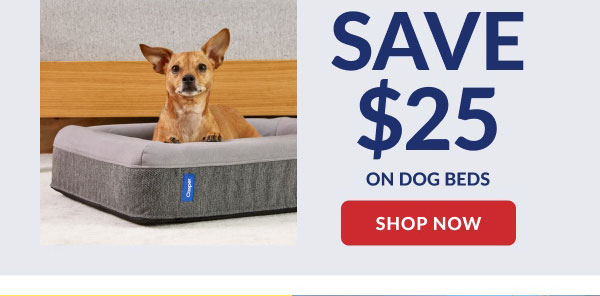 Casper | Save $25 On Dog Beds | Shop Now