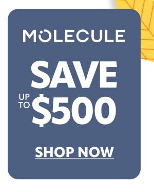 Molecule
