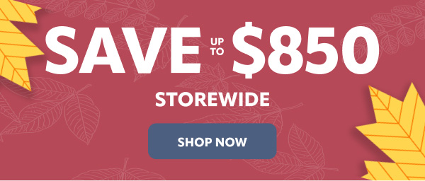 Save up to 60% storewide