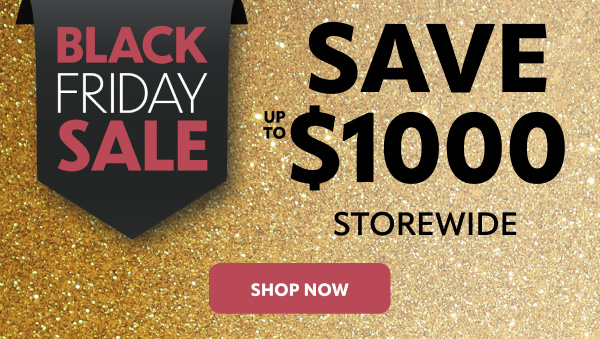 Black Friday save up to $1000