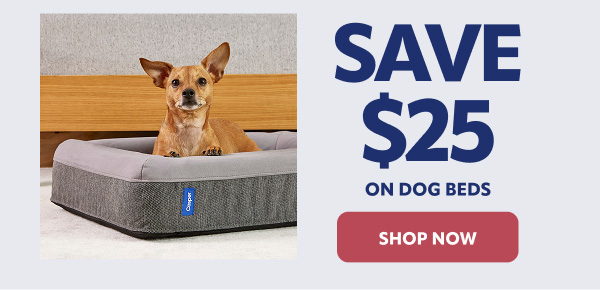 Save $25 on dog beds