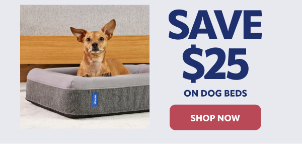 Save 25% on dog beds