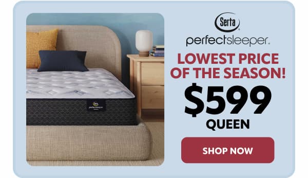 Serta perfect sleeper lowest price of the season