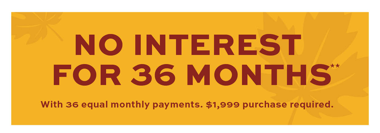 No Interest for 36 Months! Minimum purchase required. Learn more