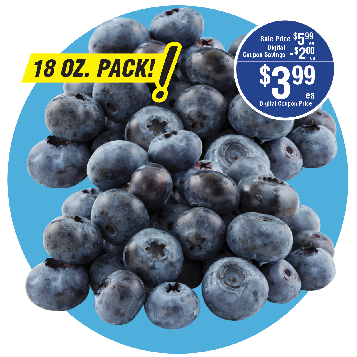 BLUEBERRIES