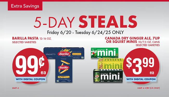 5-Day Steals panel