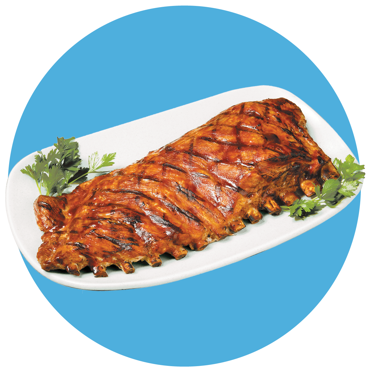 PORK SPARERIBS