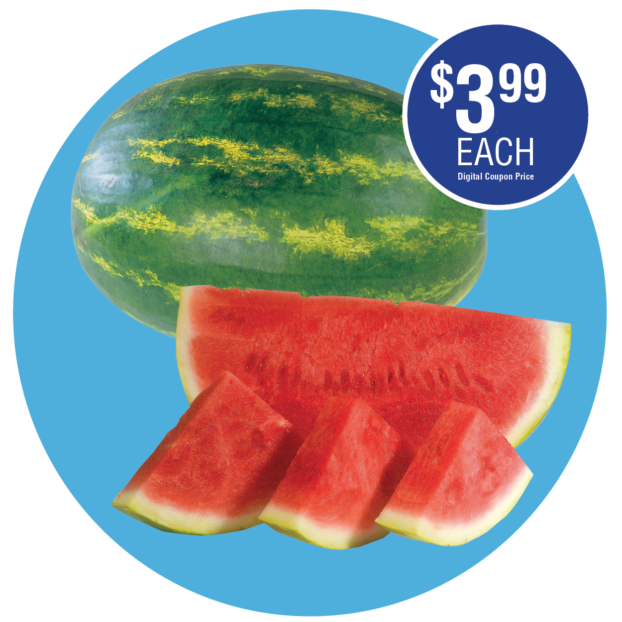 SEEDLESS WATERMELON