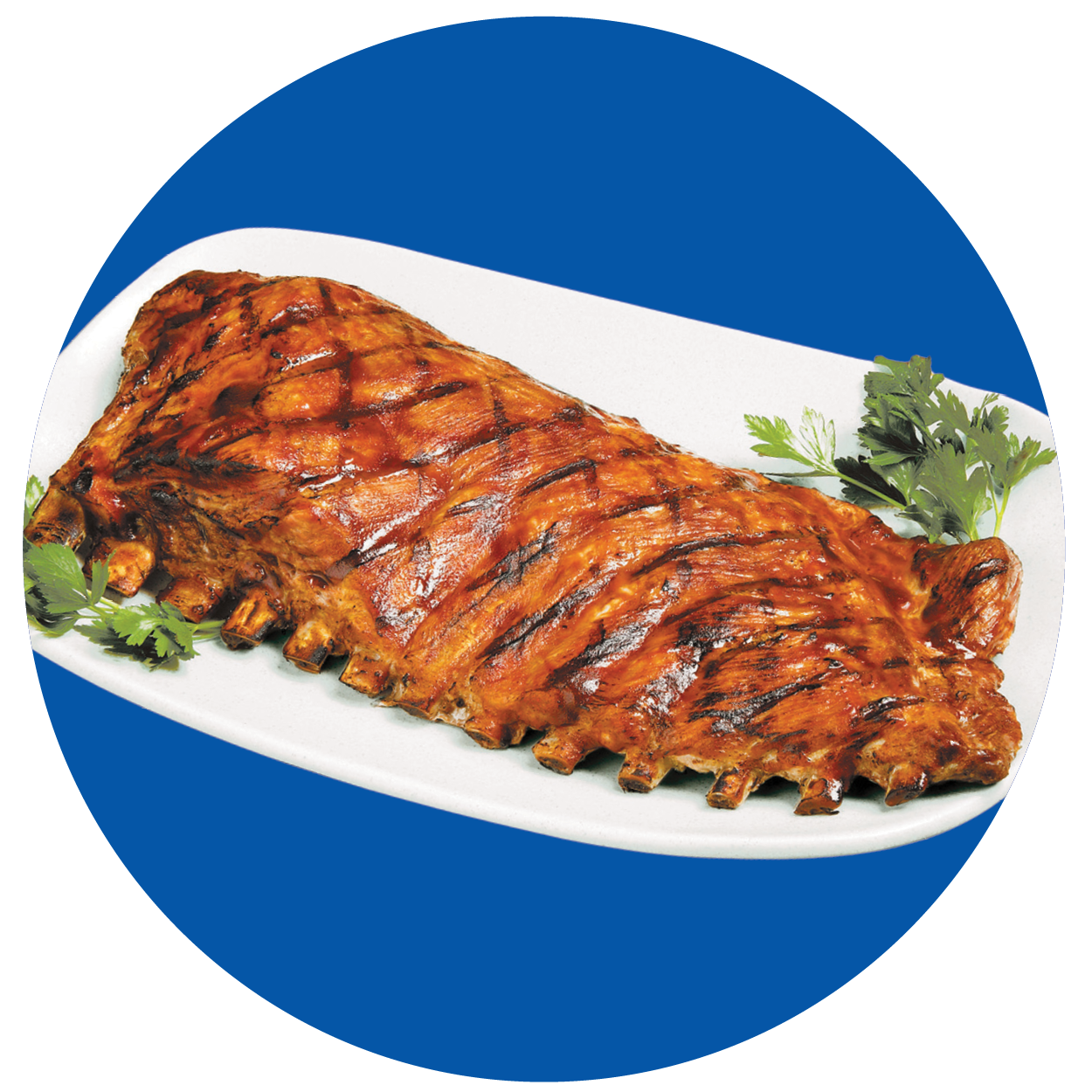 PORK SPARERIBS