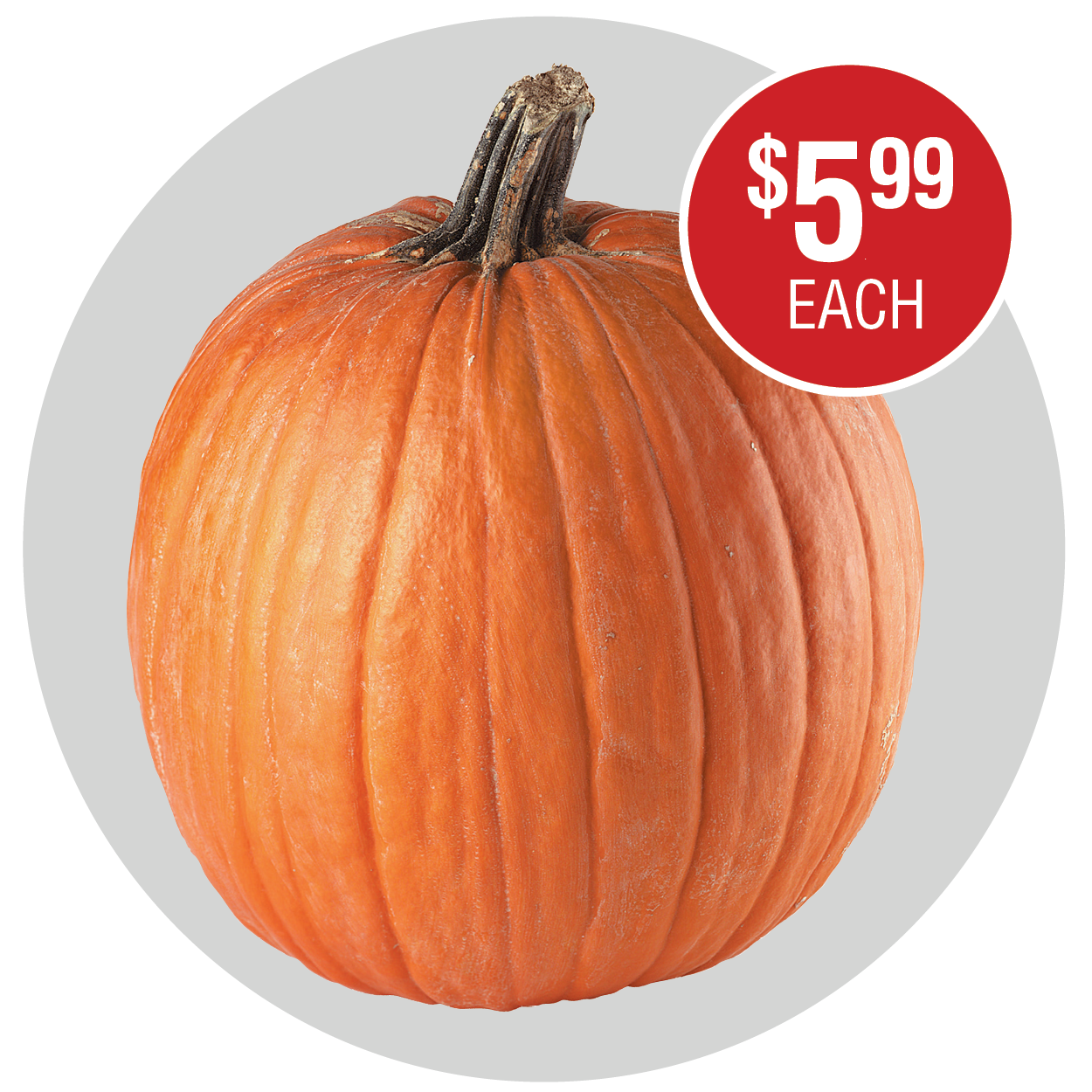 LARGE PUMPKINS