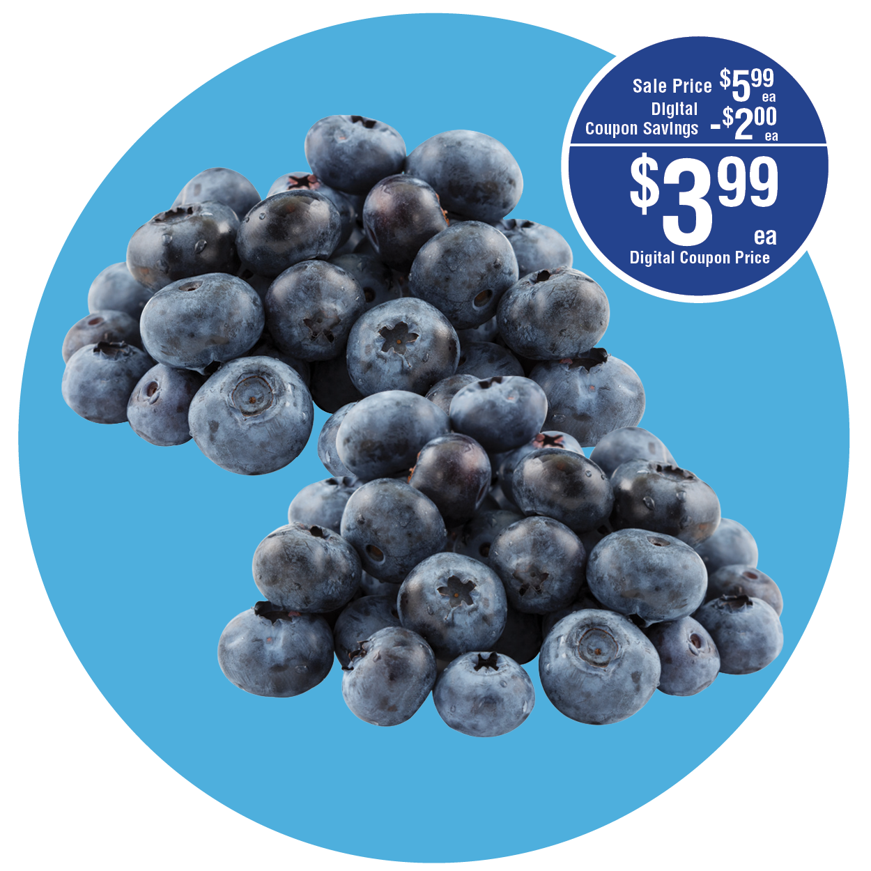 BLUEBERRIES