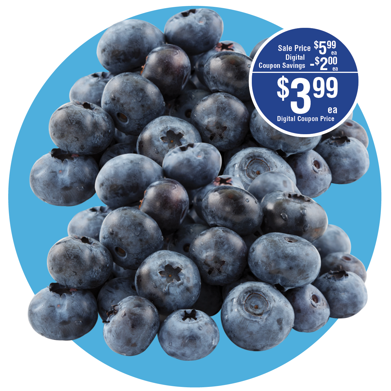 BLUEBERRIES