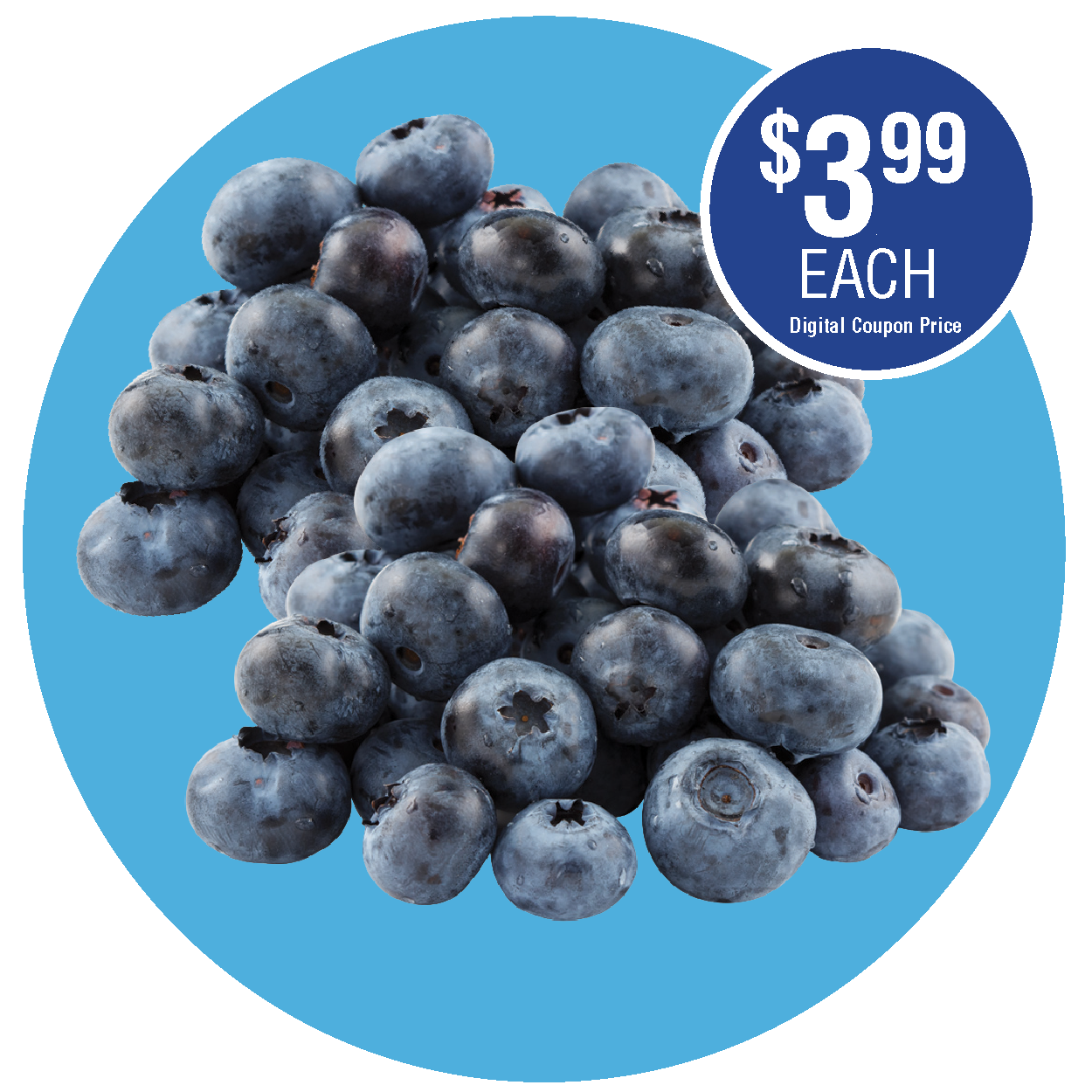 BLUEBERRIES