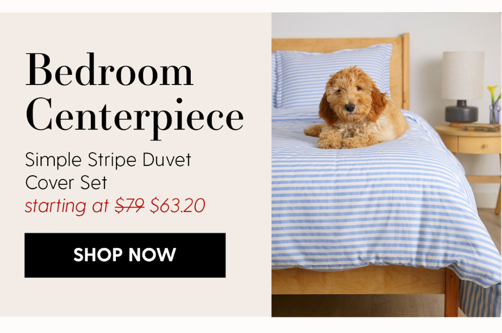 Simple Stripe Brushed Cotton Duvet Cover Set