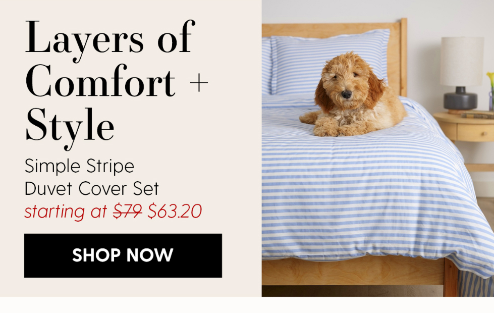 Simple Stripe Brushed Cotton Duvet Cover Set