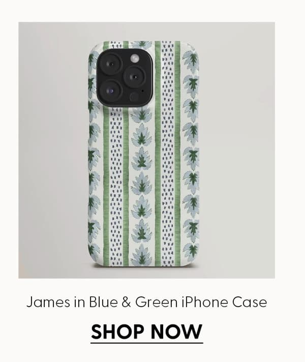 James in Blue and Green iPhone Case