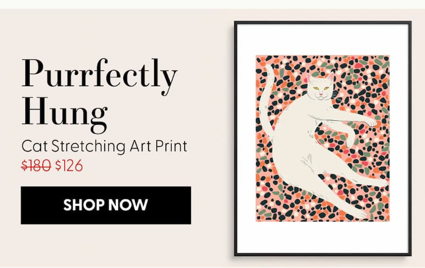 Cat Stretching Art Print
