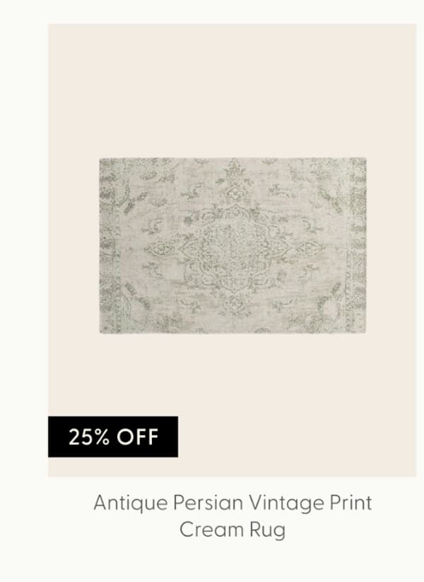 Antique Persian Neutral Vintage Rug Print Cream Rug