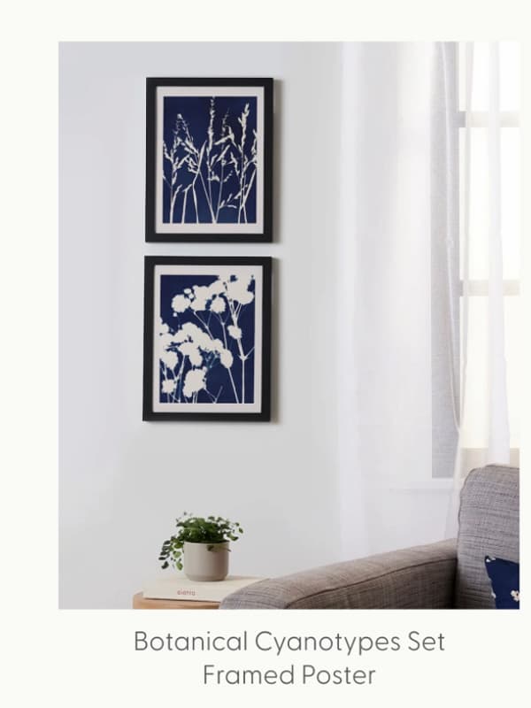 Botanical Cyanotypes Set Framed Poster