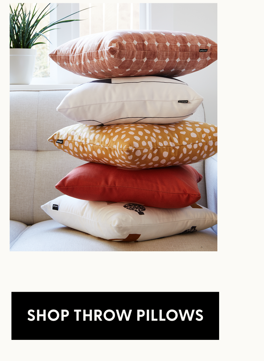 Shop Throw Pillows