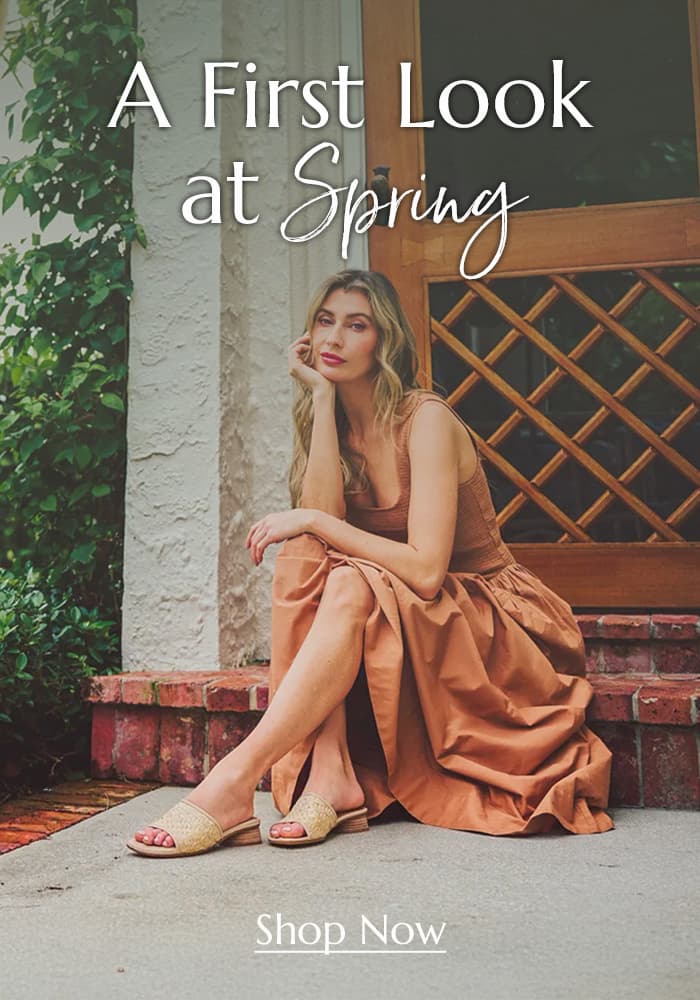 A First Look at Spring