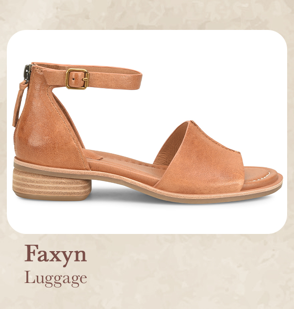 Faxyn in luggage