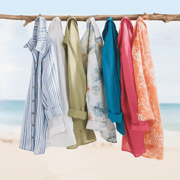 Shirts & Blouses hanging shot